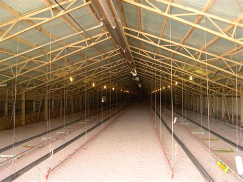 used metal chicken house trusses for sale|building with chicken house trusses.